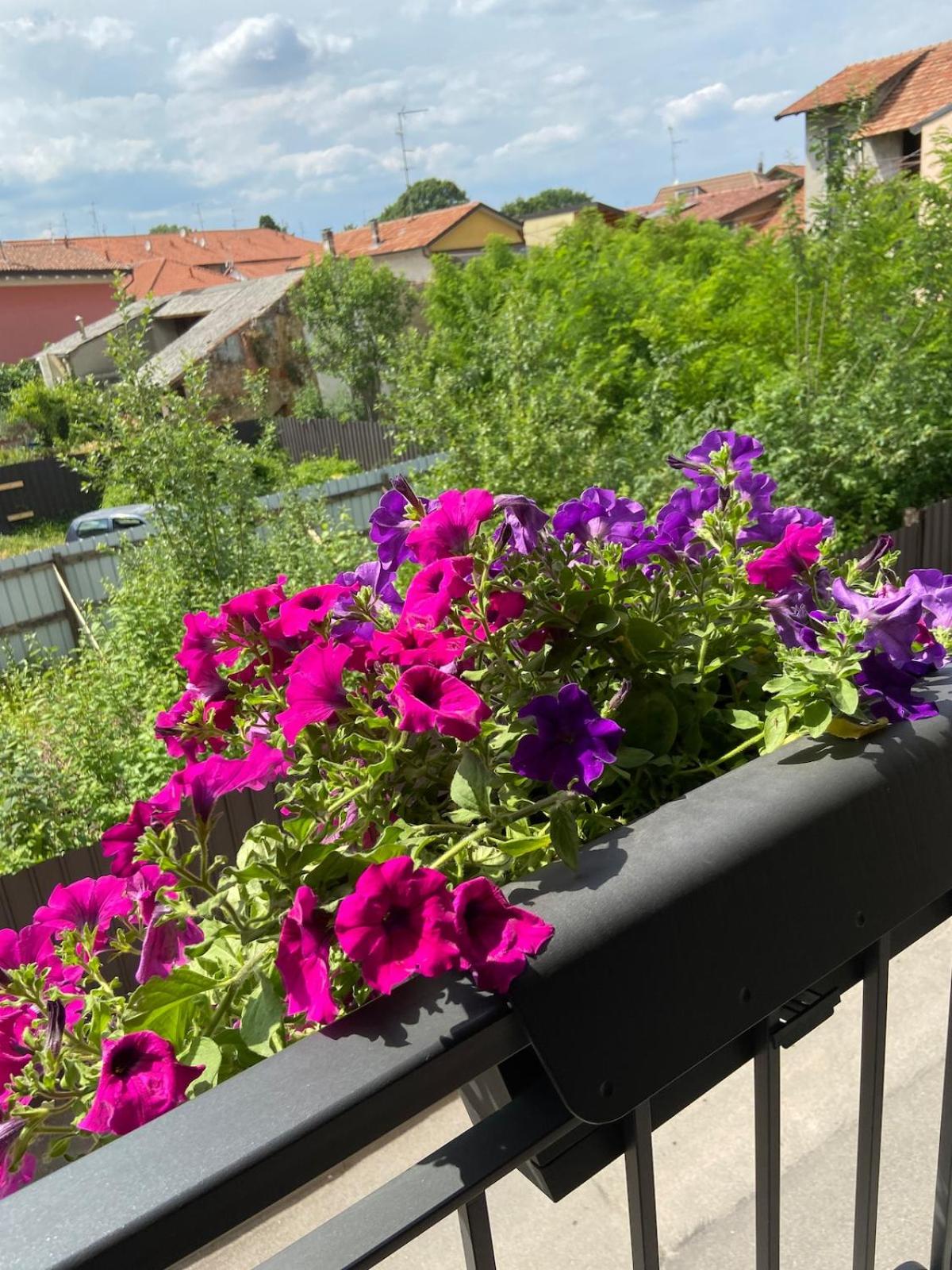 Casa di Silvia Beautiful apartment 15 minutes from MilanoRho Fiera - Photo 4