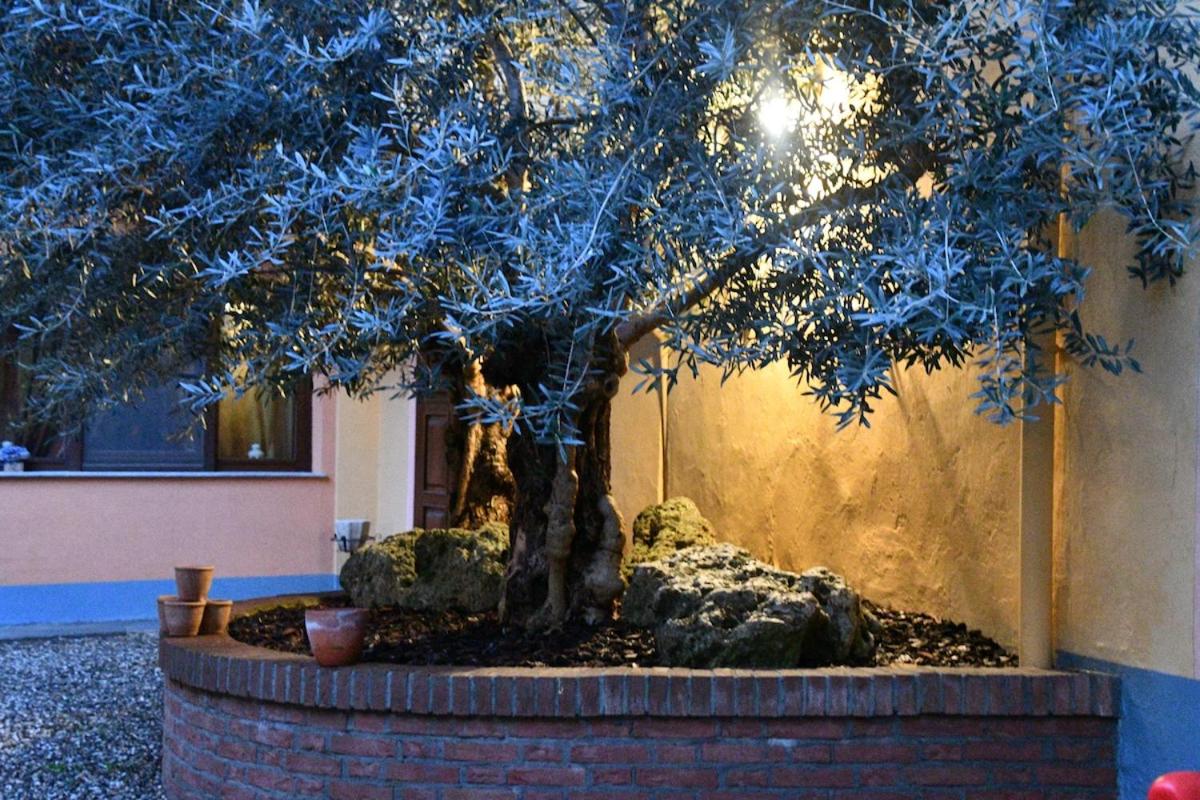 Palazzo Terzano - Historic Residence - Photo 49