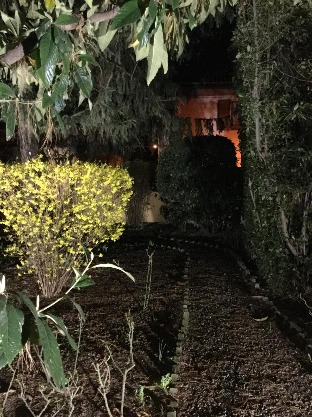 Palazzo Terzano - Historic Residence - Photo 9