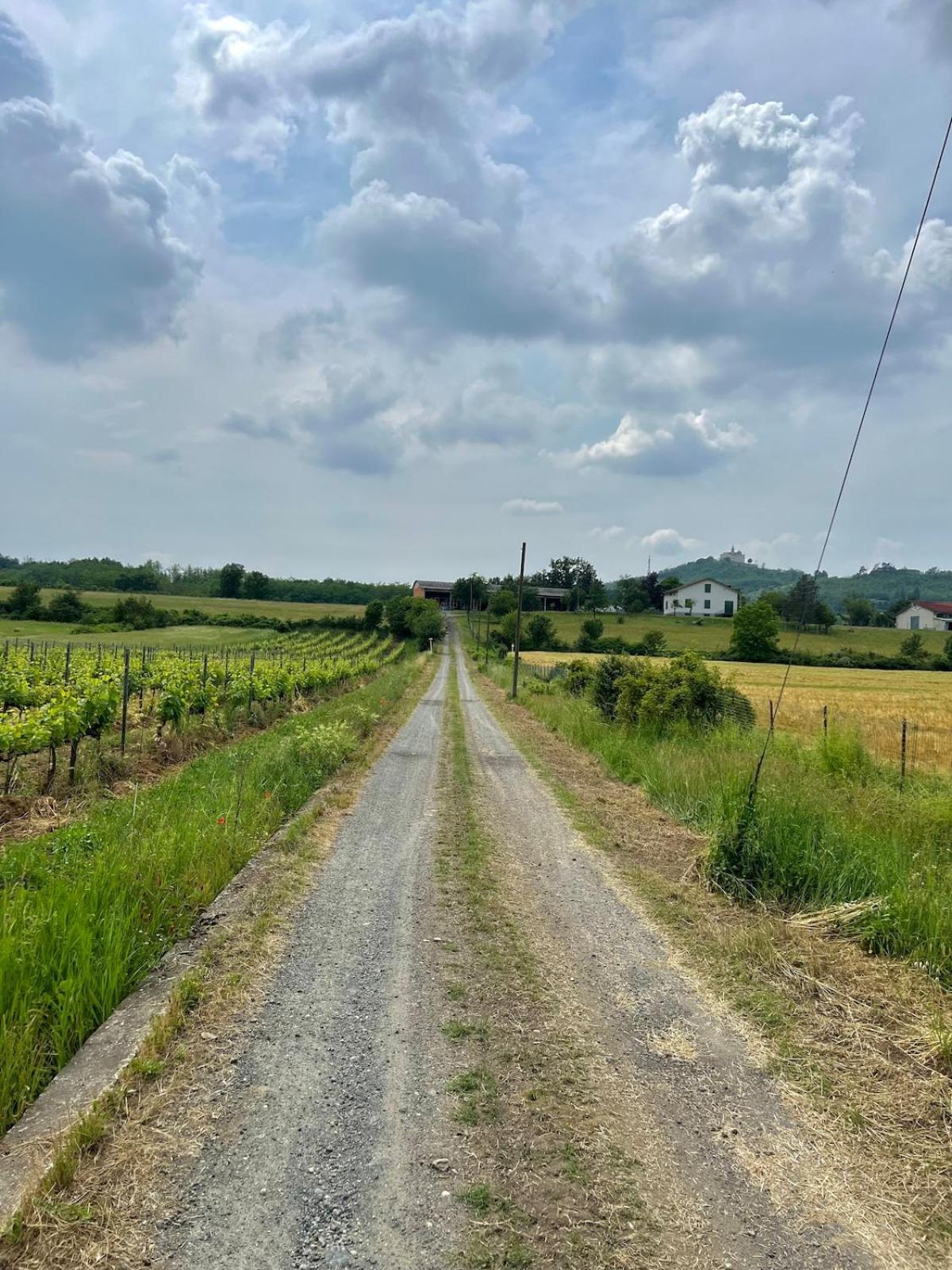 La casa delle colline di Gavi - Photo 37
