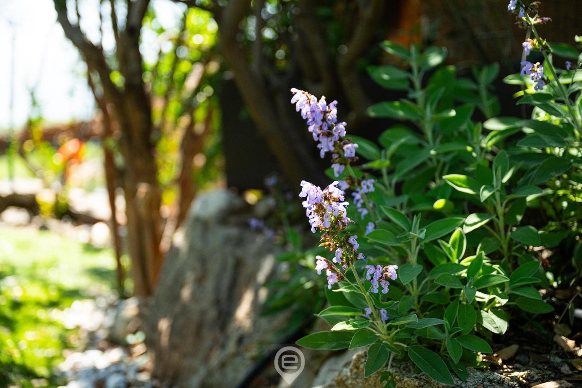 Alessandra Garden Hideaway - Photo 4