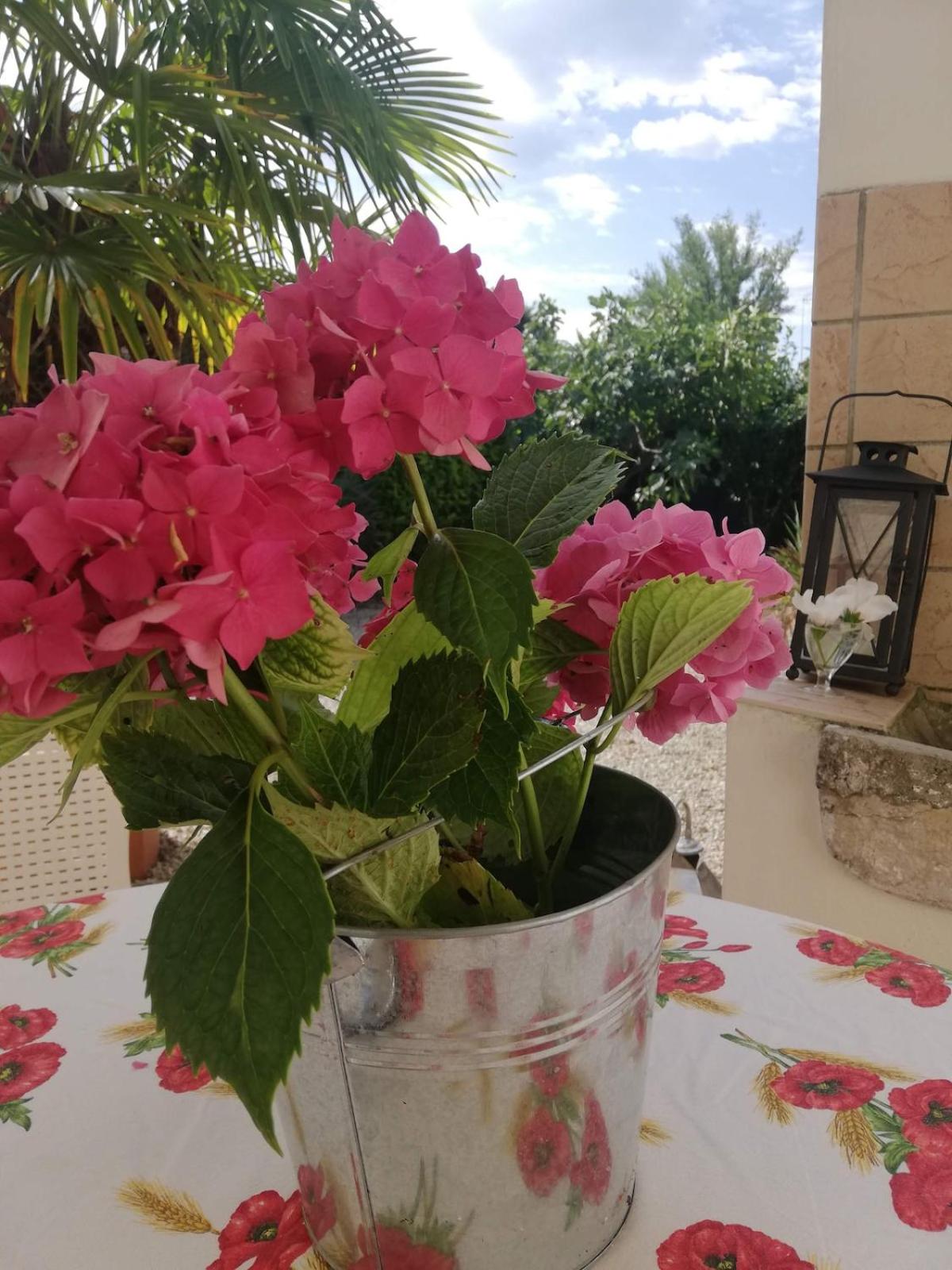 Family House on private courtyard in Fanna - Photo 56