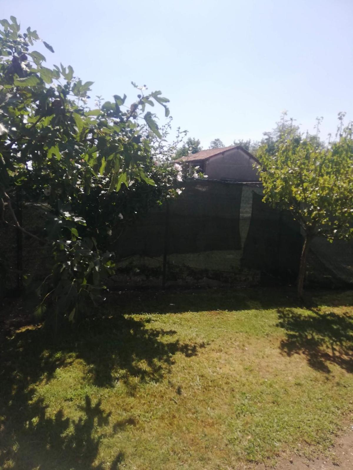 Family House on private courtyard in Fanna - Photo 51