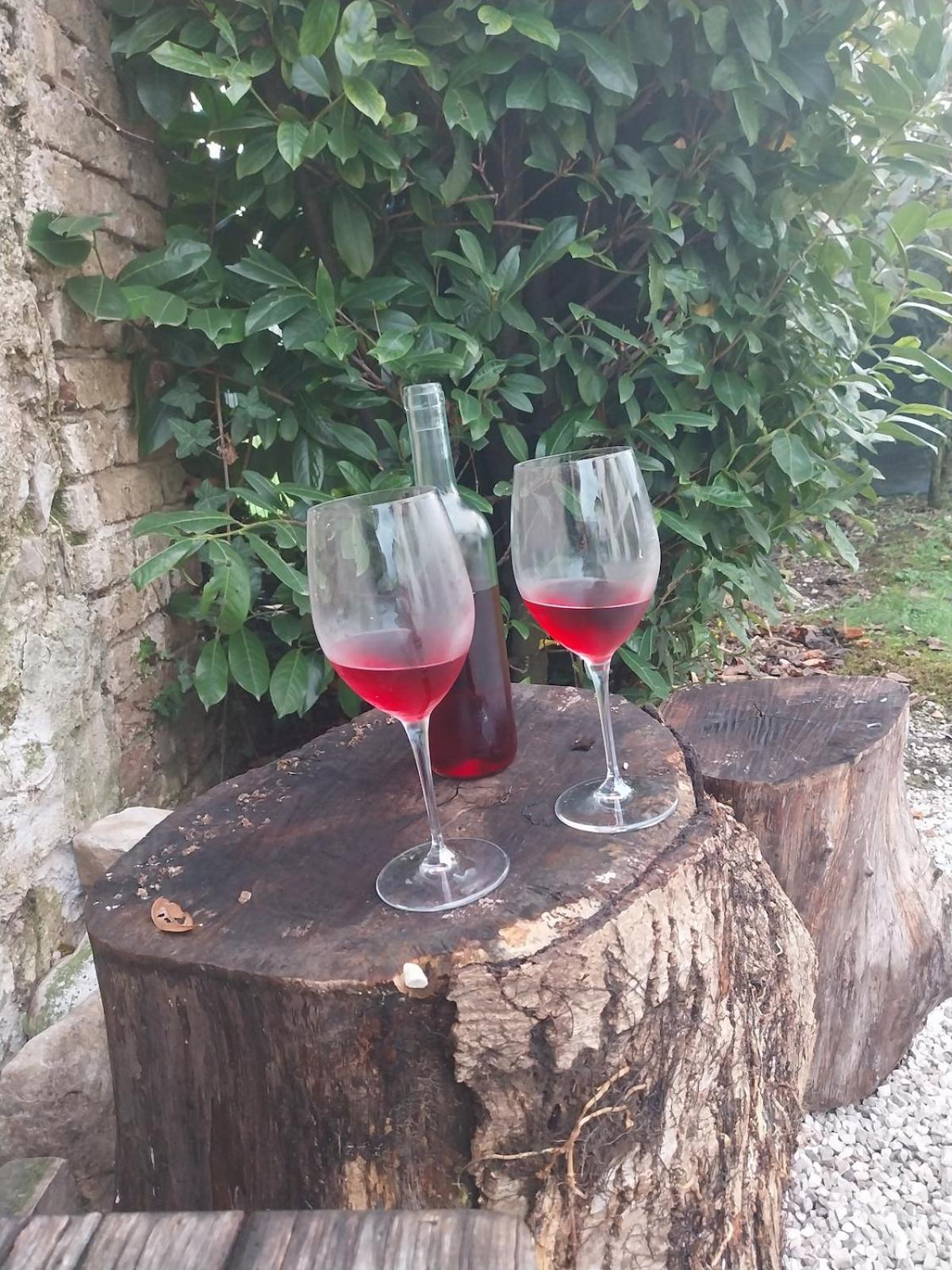 Family House on private courtyard in Fanna - Photo 34