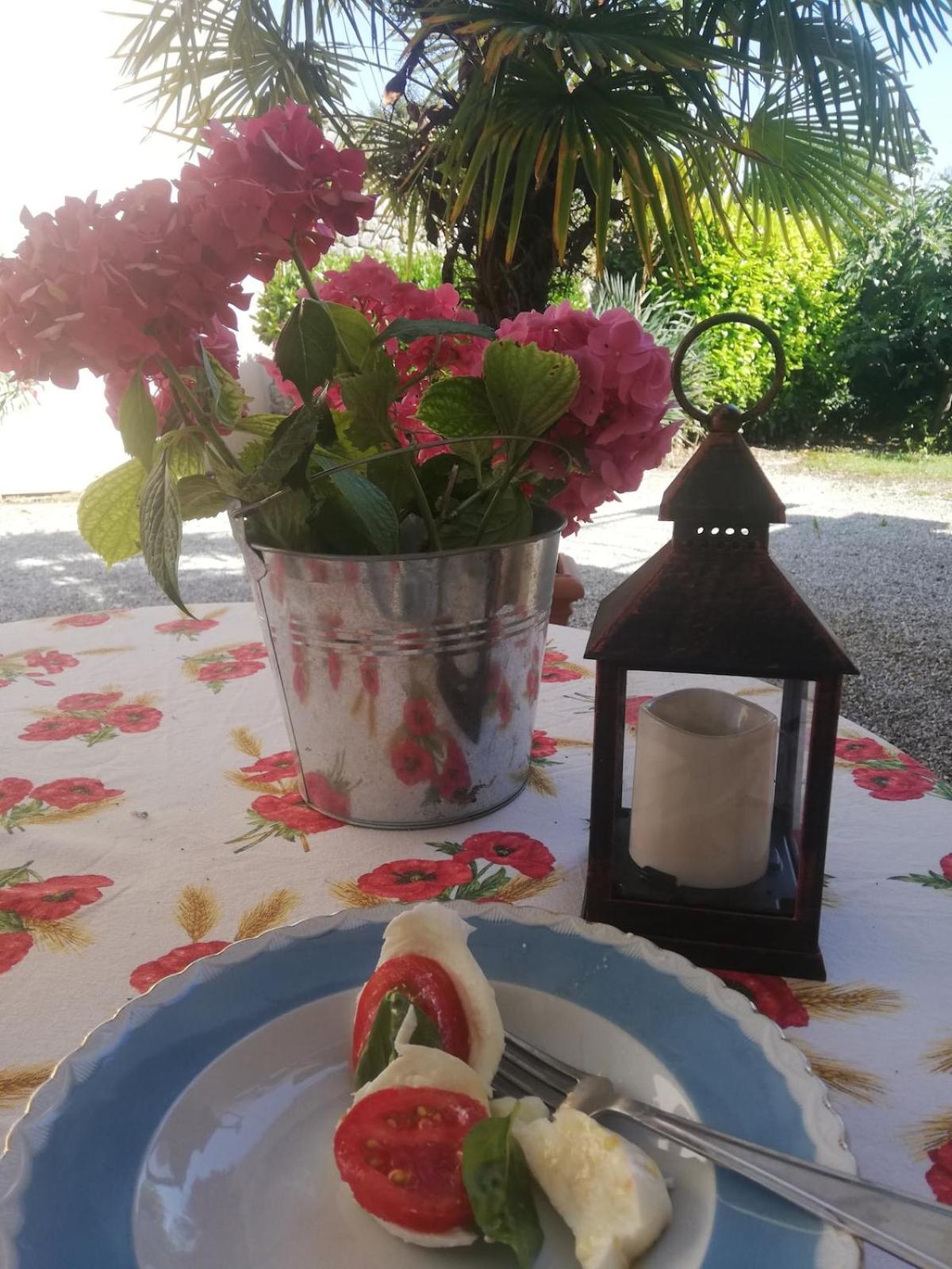 Family House on private courtyard in Fanna - Photo 44