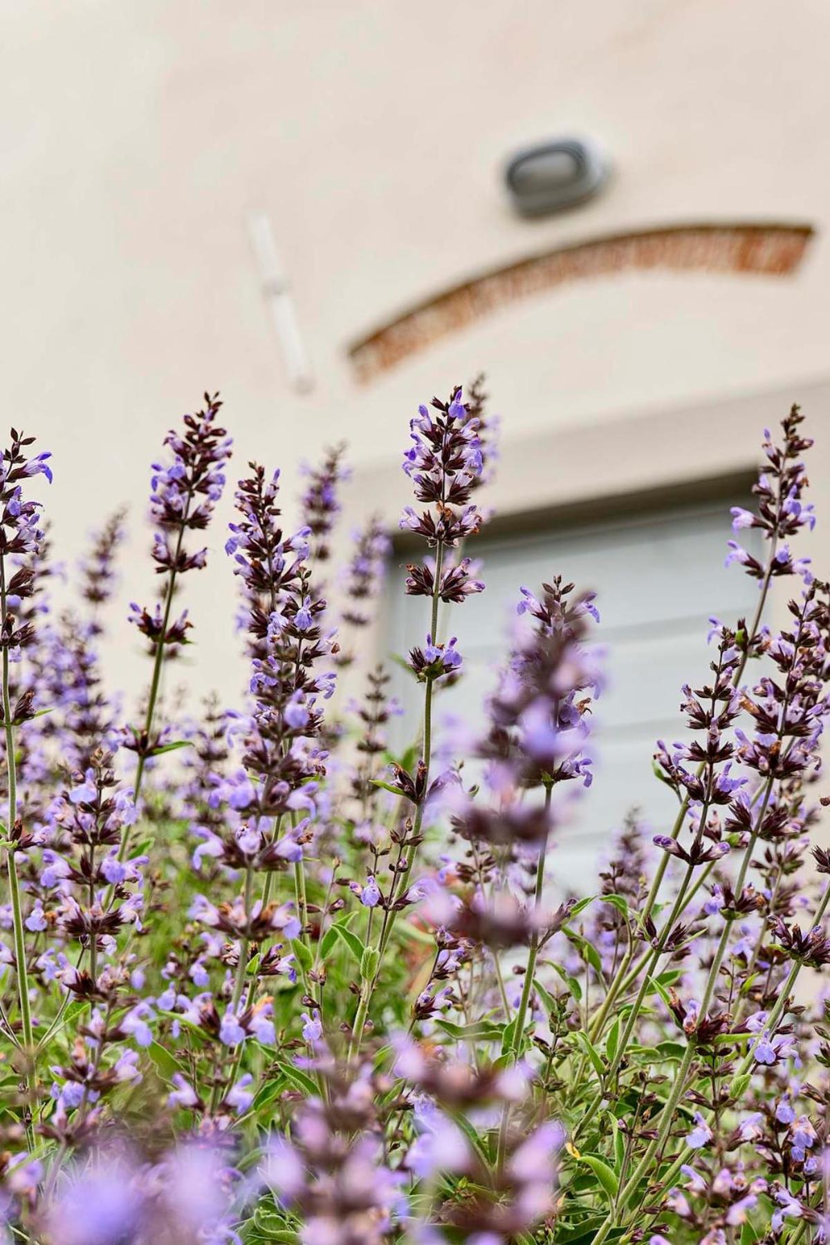 Cantagrillo - Spacious Villa & Private Pool - Photo 16