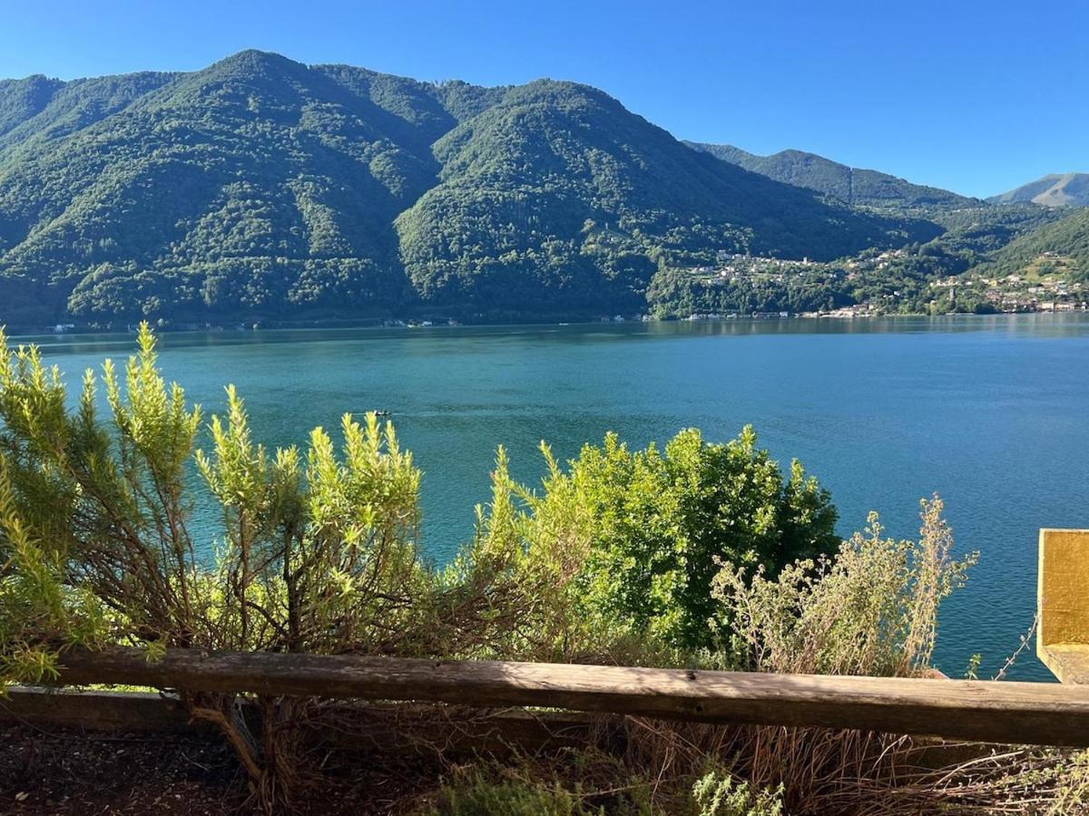 Perle am See - Photo 8