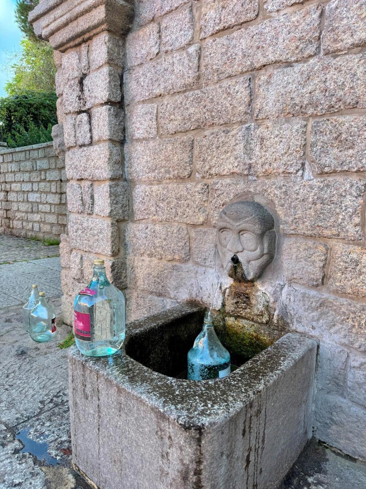 Pausania Temple il pavone smeraldo - Photo 5