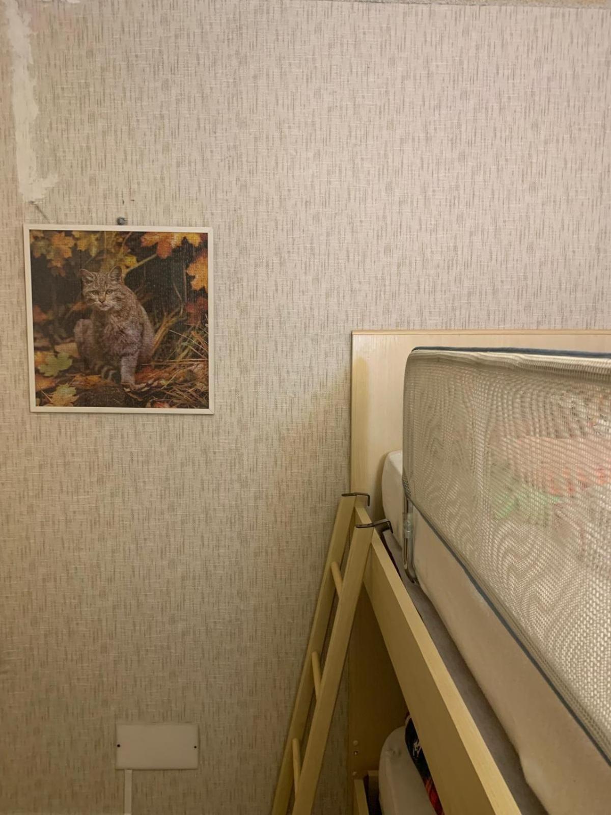 La casa di UDO - Photo 2