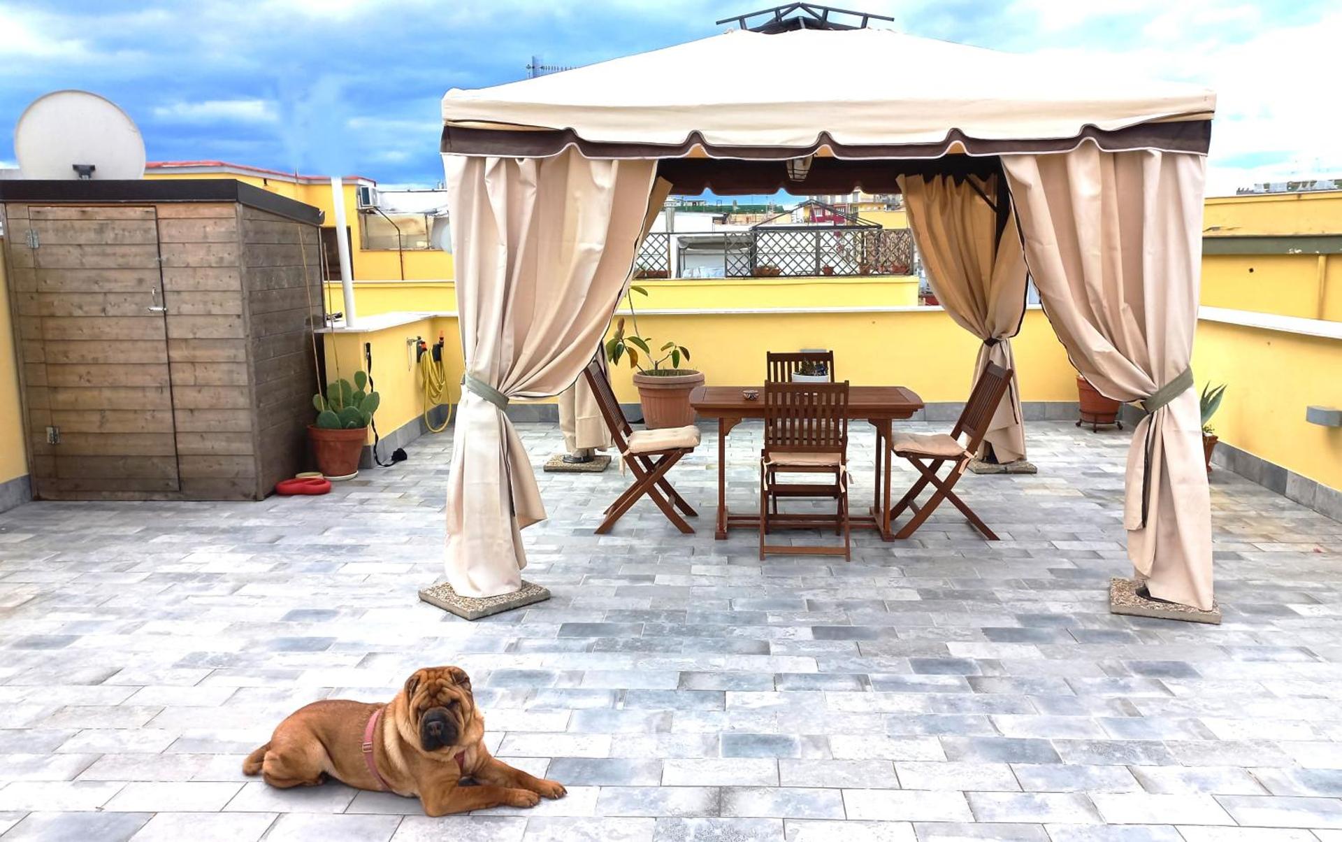 La terrazza di Silvana - Photo 18