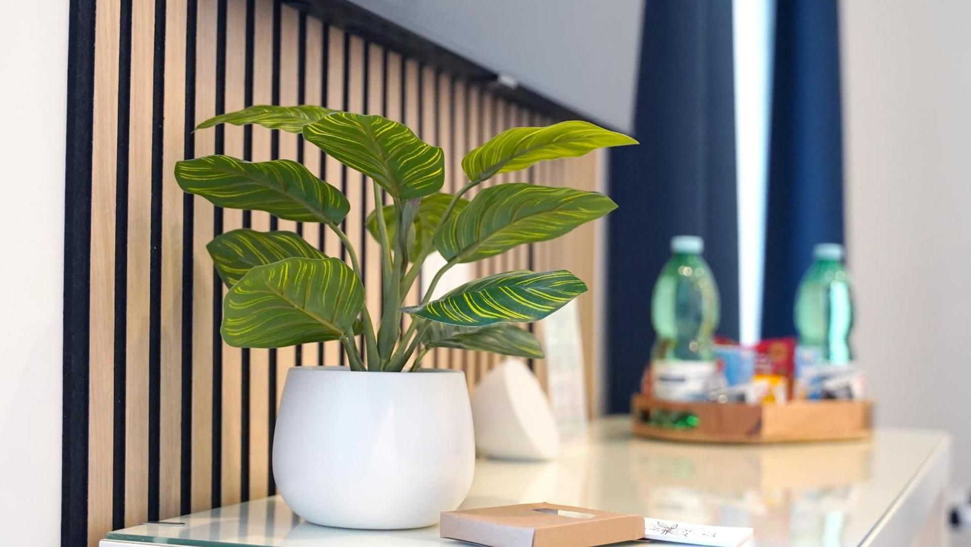 Little Suites Pompeii - Photo 51