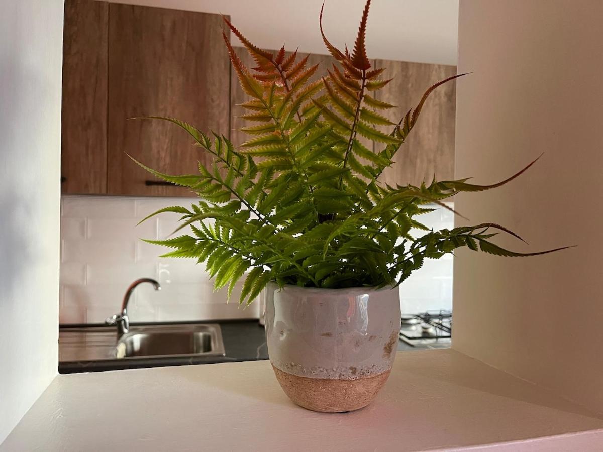 Lolli House - Photo 12