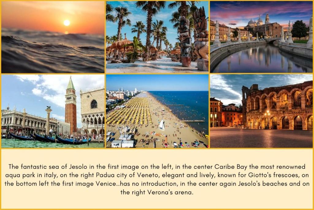 Stylish Poolside Apartment, Jesolo-Venice - Photo 3