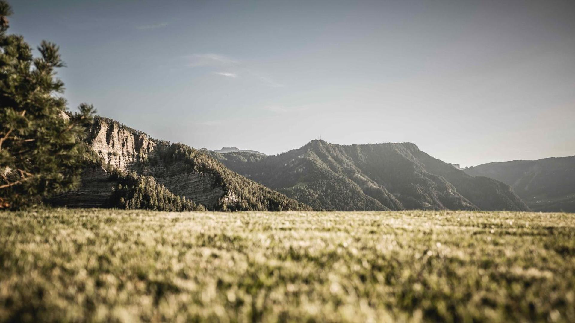 Chalet Altera by Elite Villas - Photo 21