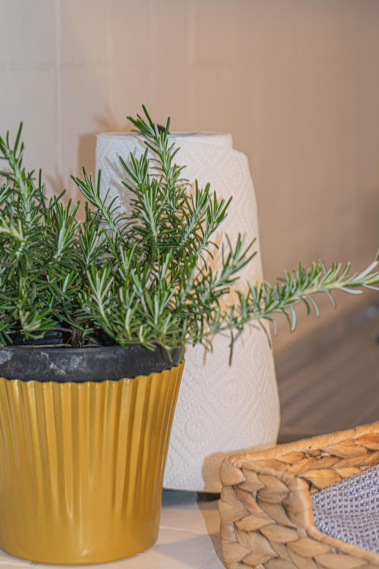 Home Relax Re di Roma - Photo 10