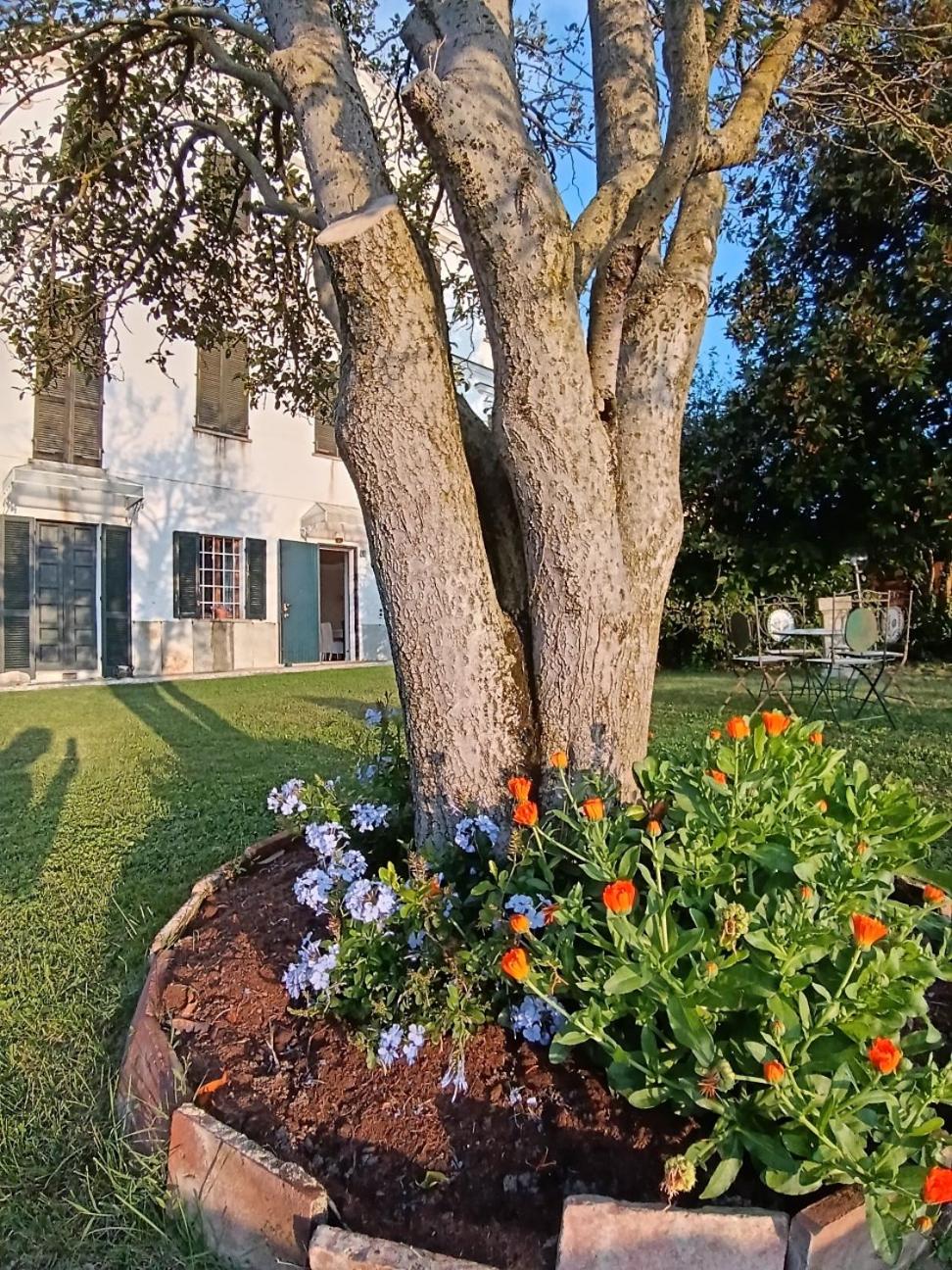 BotanicaSuiteTorino - Photo 6