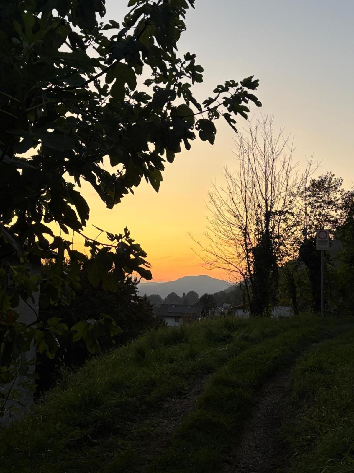 La casa nel verde di Francesco - Photo 20