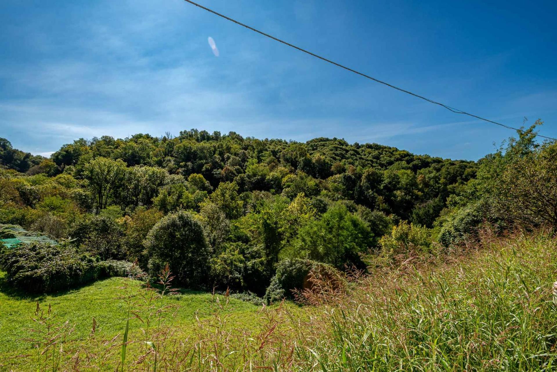 La casa nel verde di Francesco - Photo 7