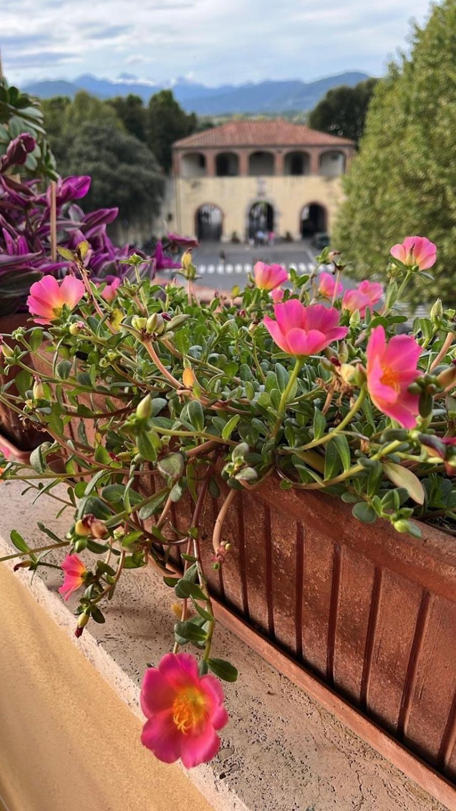 Casa Luisa - Historic Center Lucca, panoramic terrace, AC, up to 6 guests - Photo 29