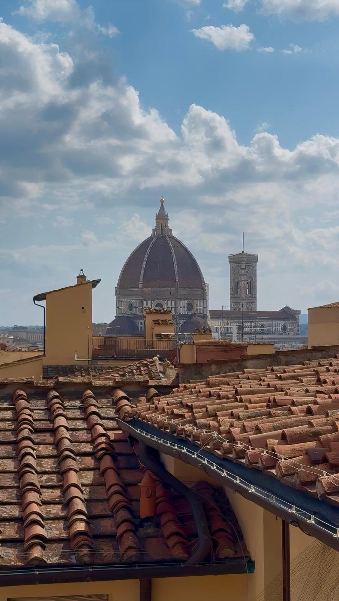 Golden Luxe-Penthouse Duomo ViewGarden & Parking - Photo 3