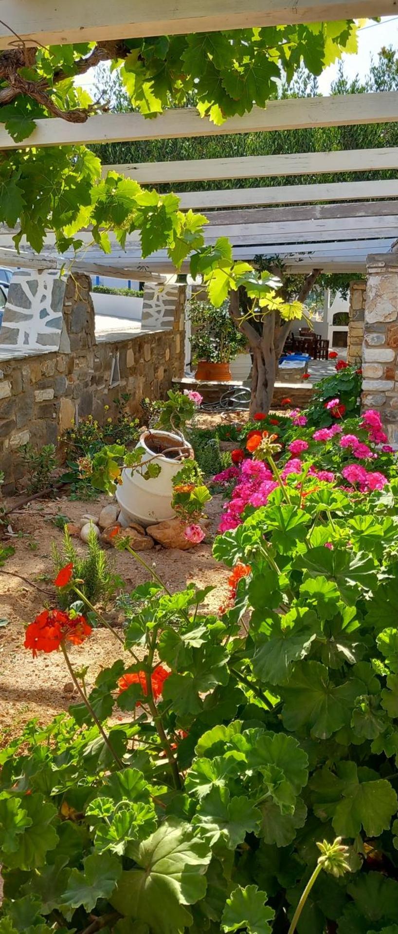 Anixis Studios Aliki Paros - Photo 138