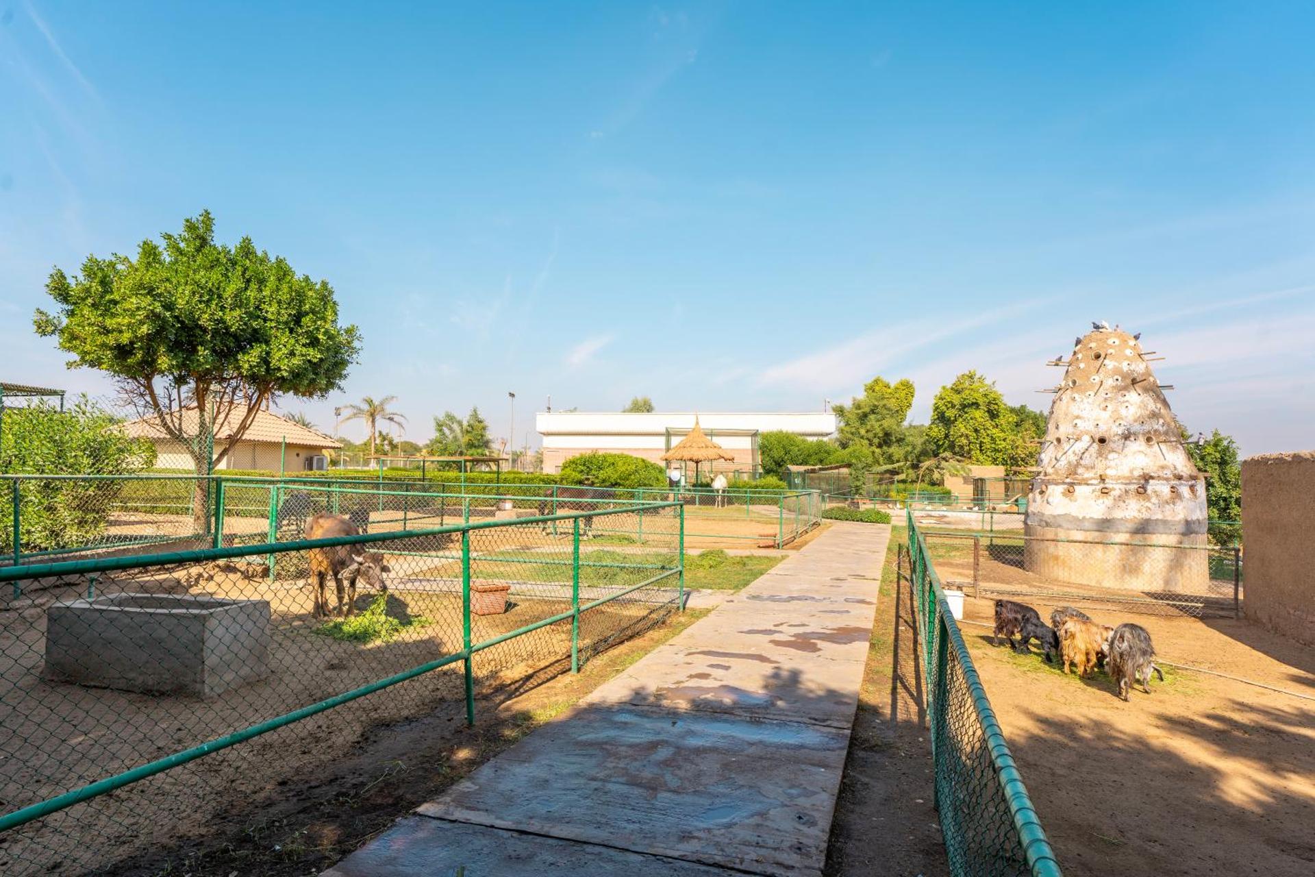 Jolie Ville Hotel & Spa Kings Island Luxor - Photo 204