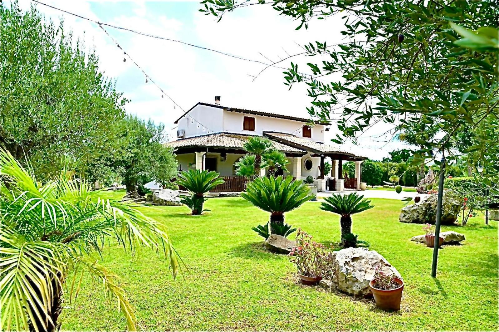 Giardino degli ulivi