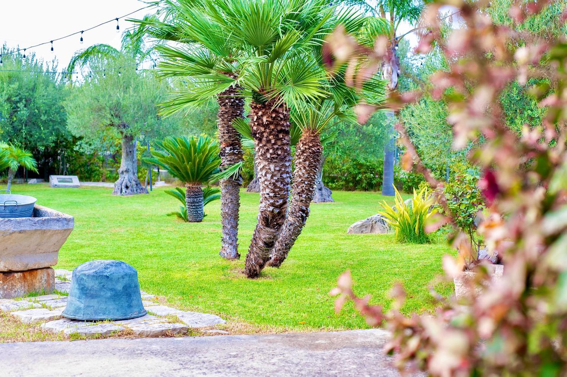 Giardino degli ulivi - Photo 12