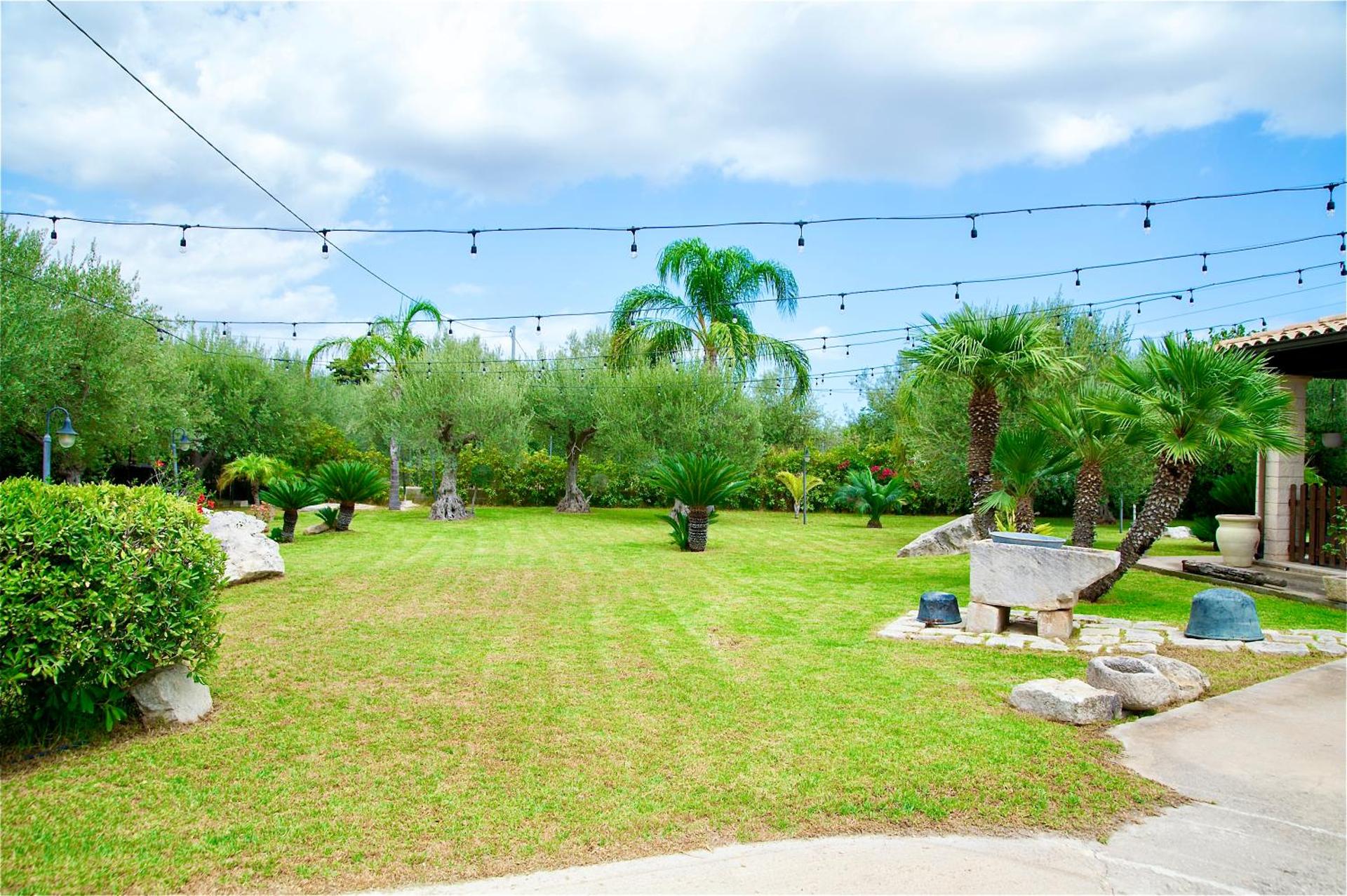 Giardino degli ulivi - Photo 22