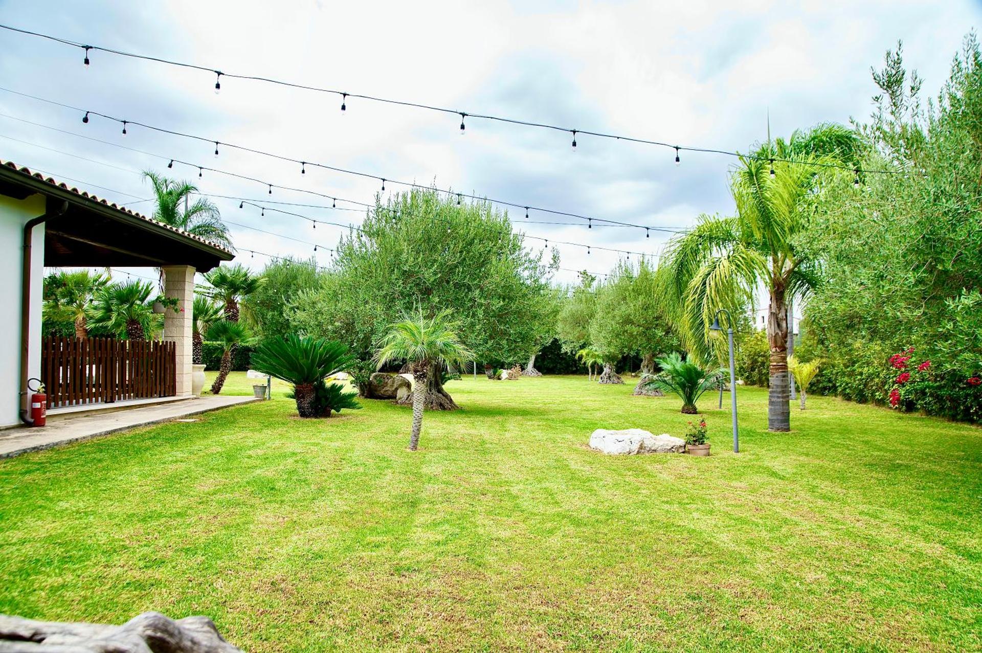 Giardino degli ulivi - Photo 25