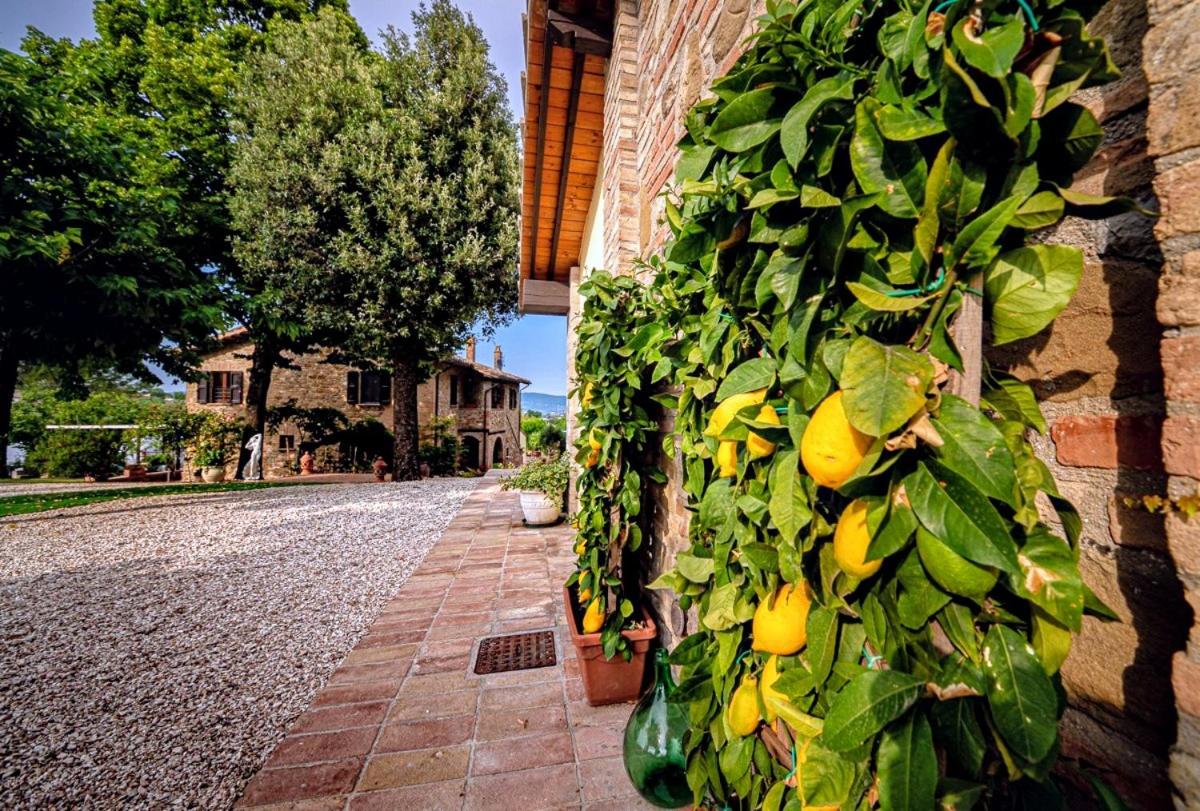 Podere Fonte Luxury Country House - Photo 12