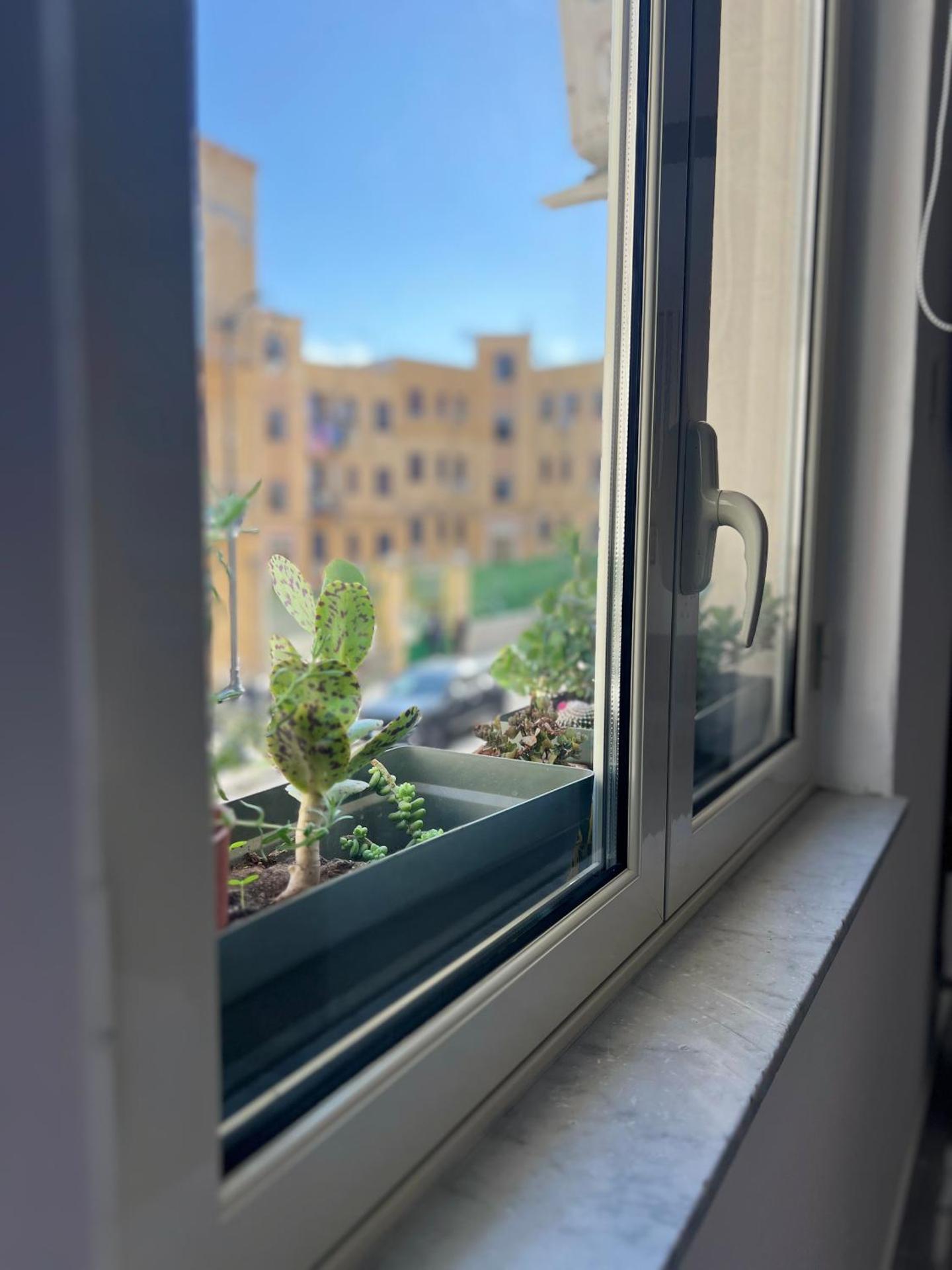 Lagumina Living - Photo 11