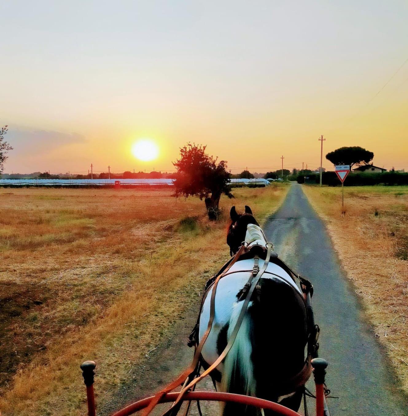 Villa 3 Archi - Photo 8