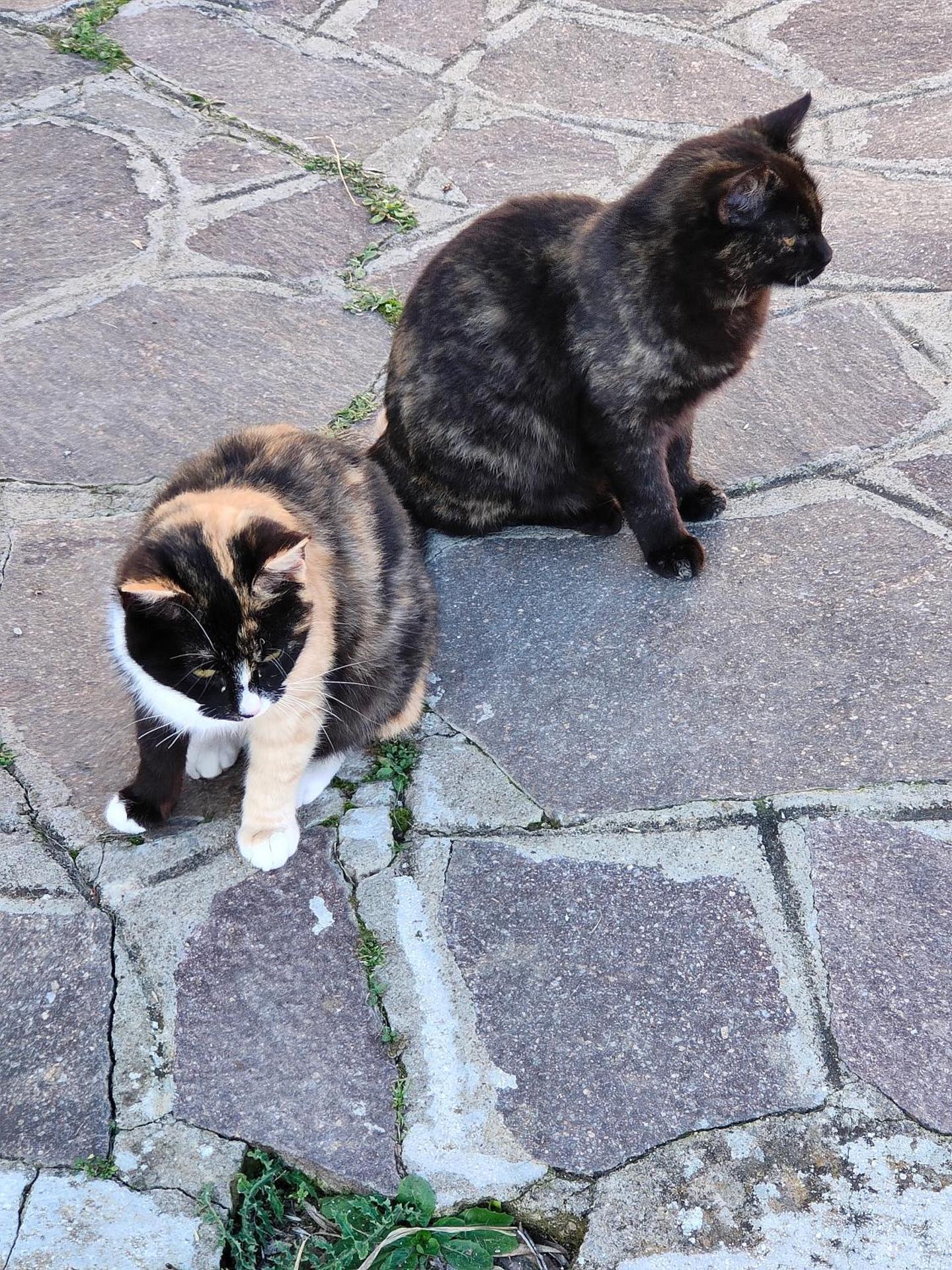 Villa 3 Archi - Photo 4