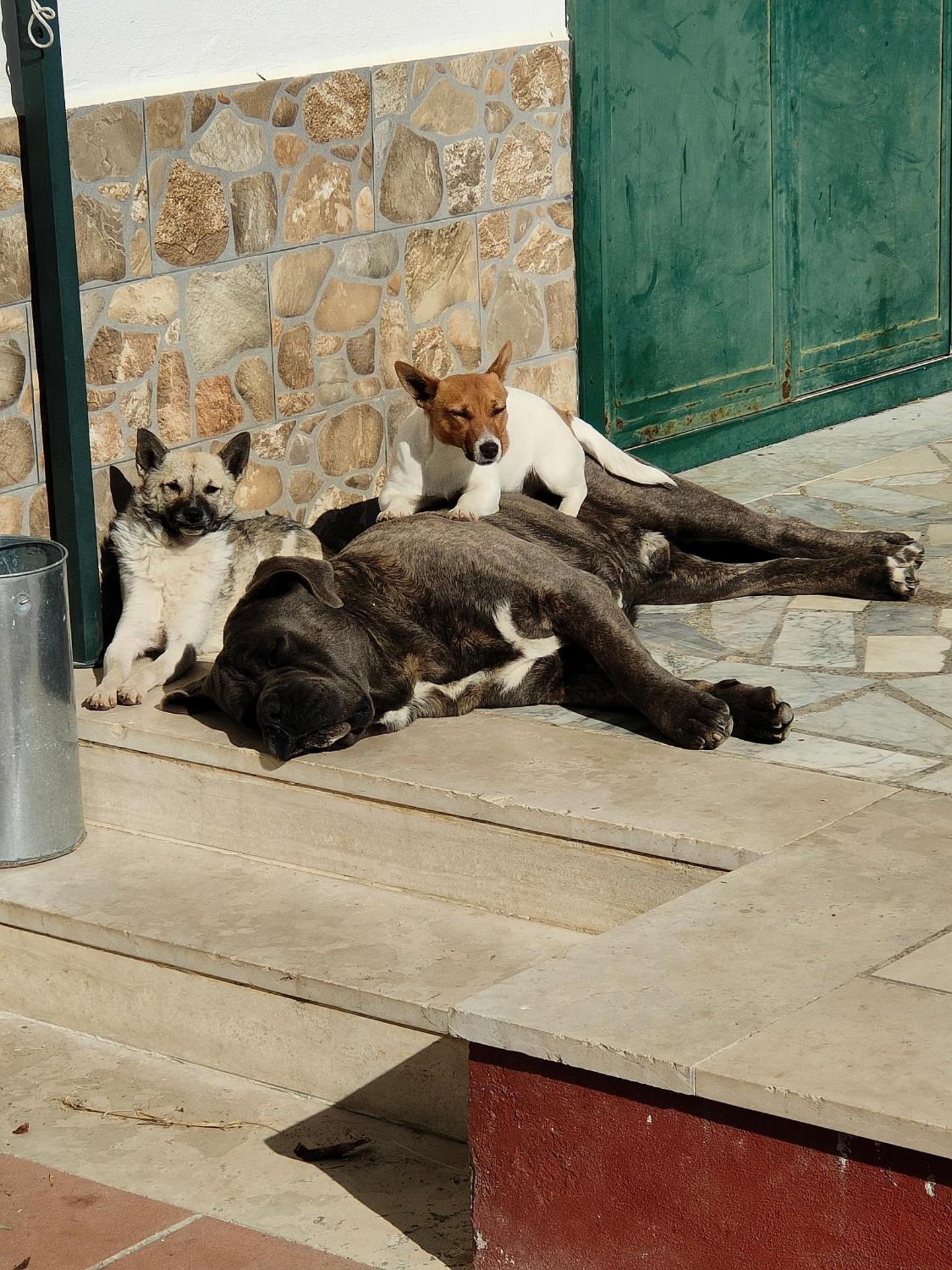 Villa 3 Archi - Photo 3