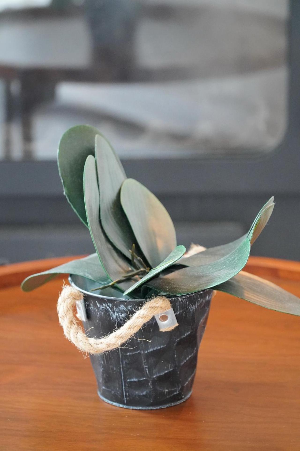 Camara Hotel - Photo 118