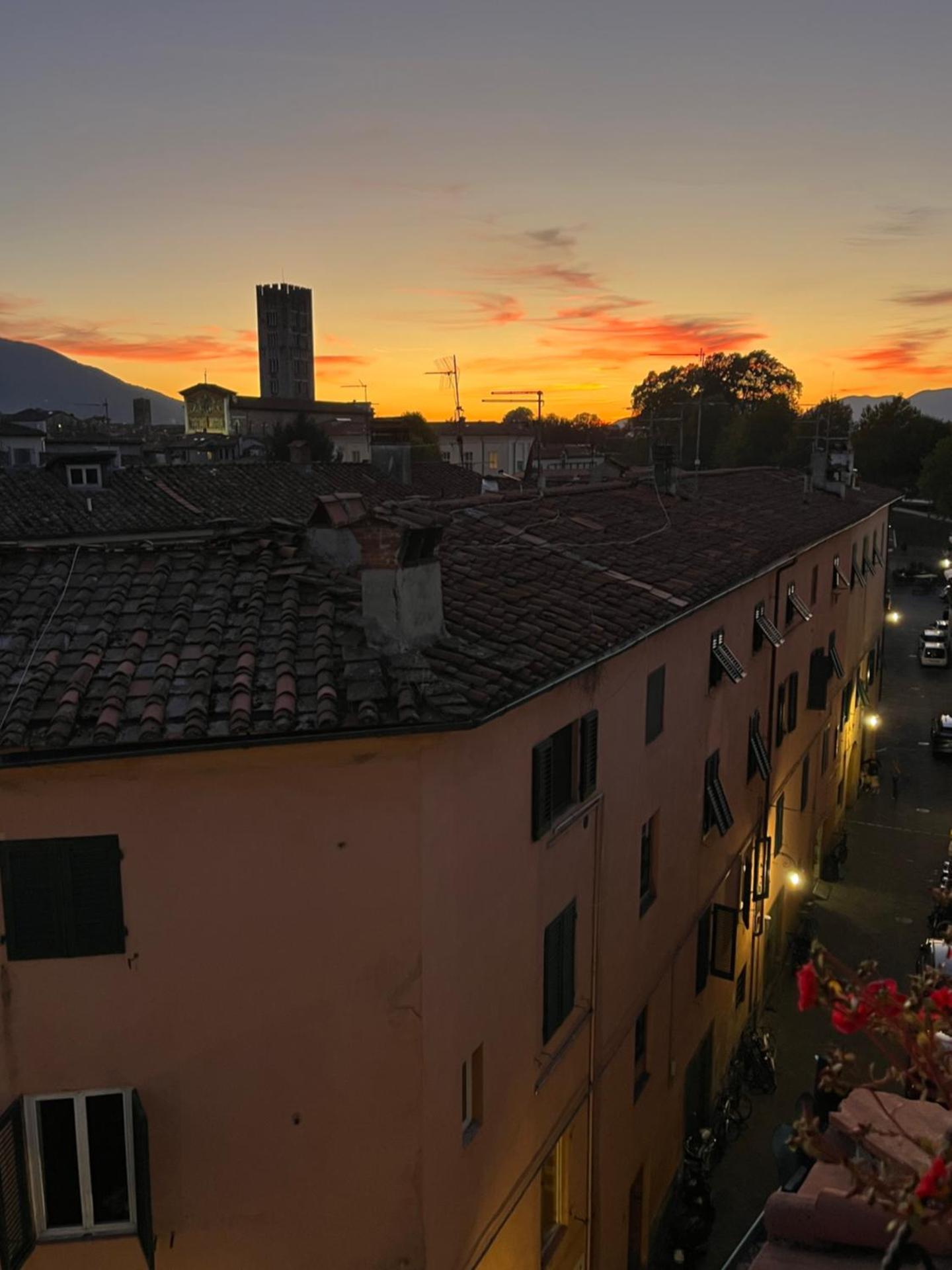 Casa Luisa - Historic Center Lucca, panoramic terrace, AC, up to 6 guests - Photo 25