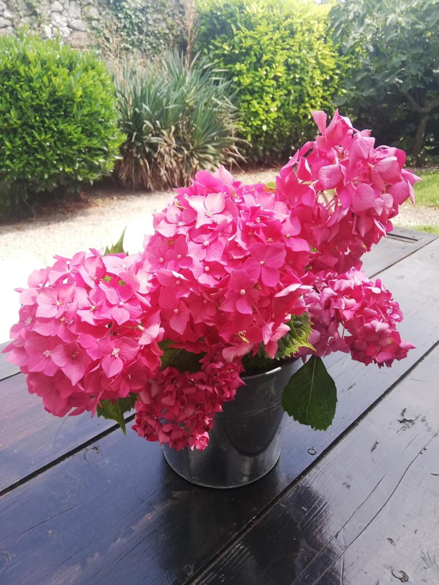 Family House on private courtyard in Fanna - Photo 5