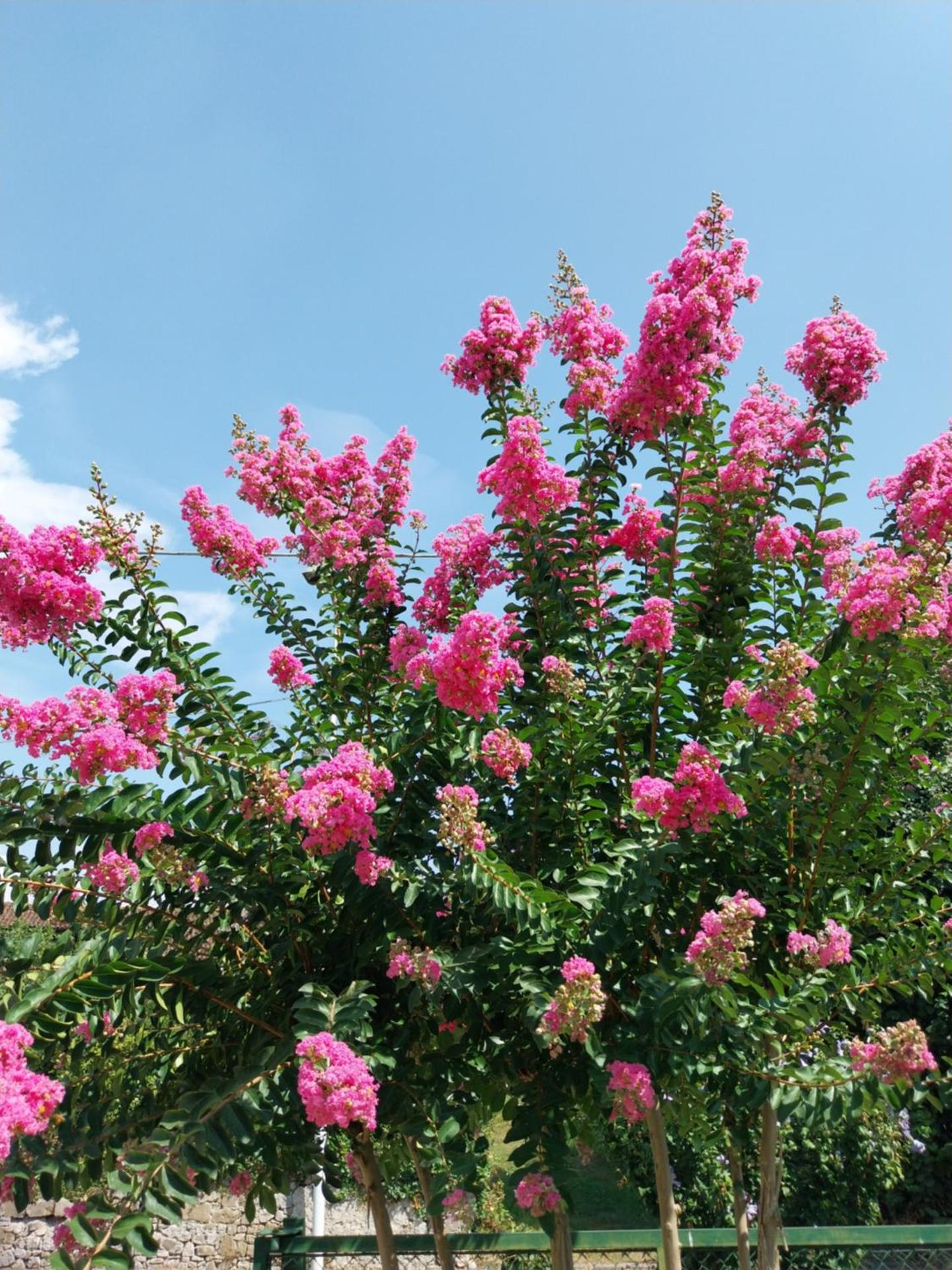 Family House on private courtyard in Fanna - Photo 30