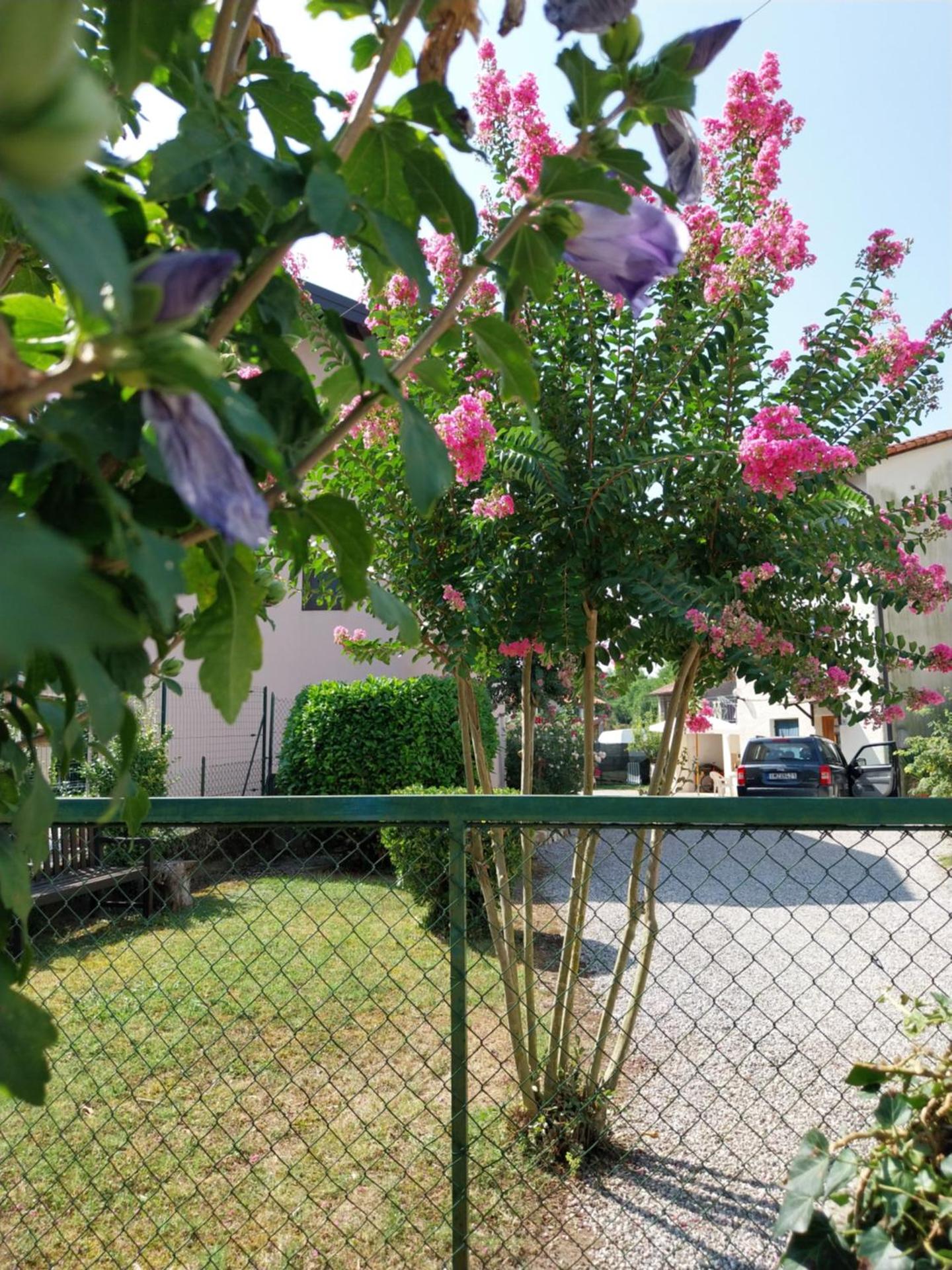 Family House on private courtyard in Fanna - Photo 31