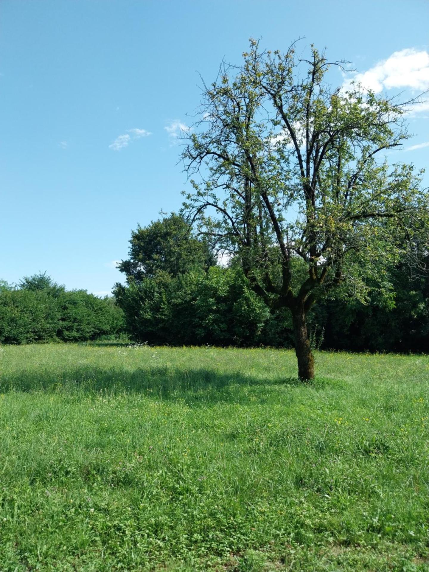 Family House on private courtyard in Fanna - Photo 19