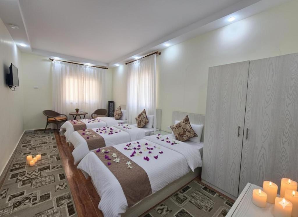 Pyramids A-Heaven Hotel and Rooftop Bedouin Tent - Photo 30