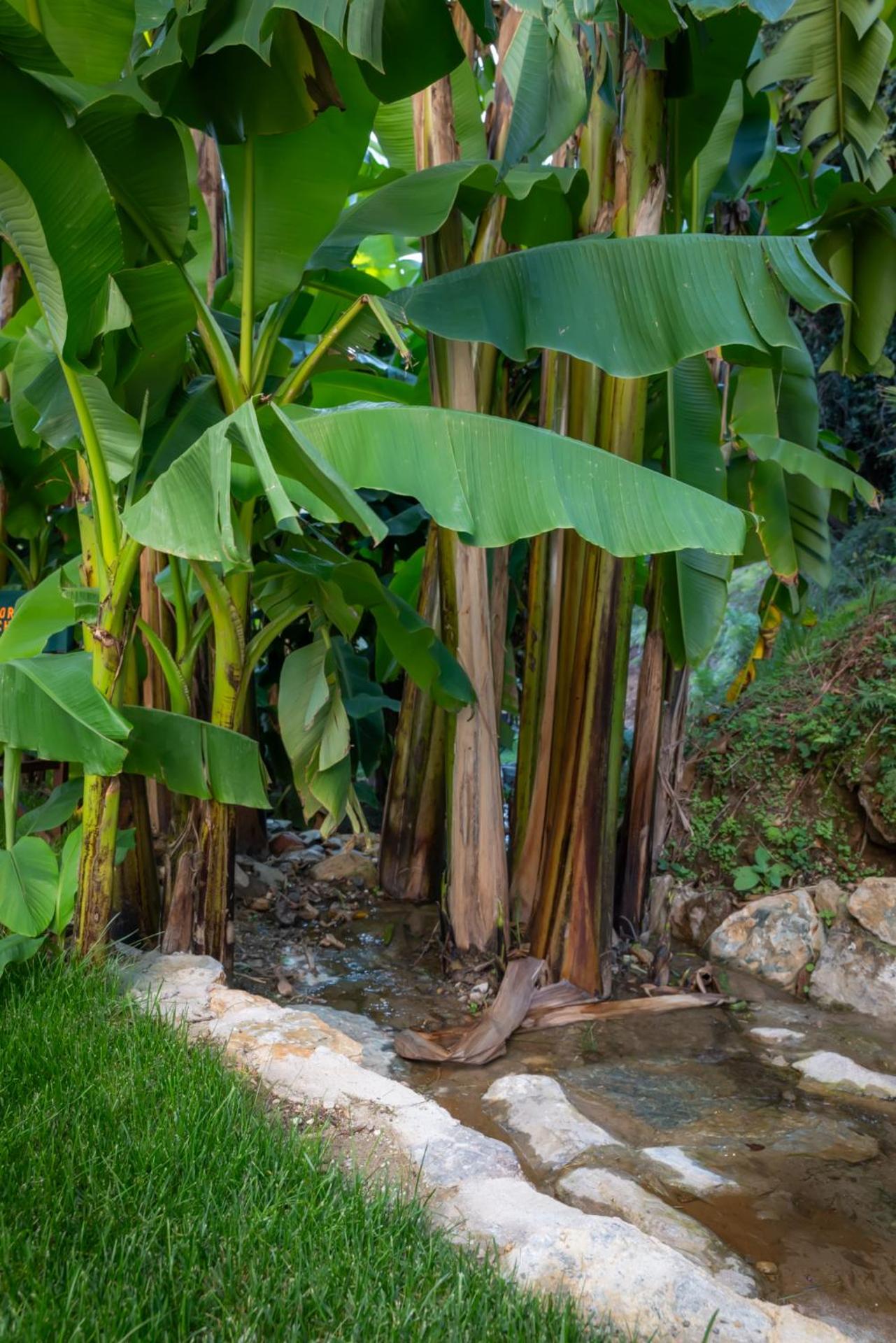 Dimora Moncher - Photo 32