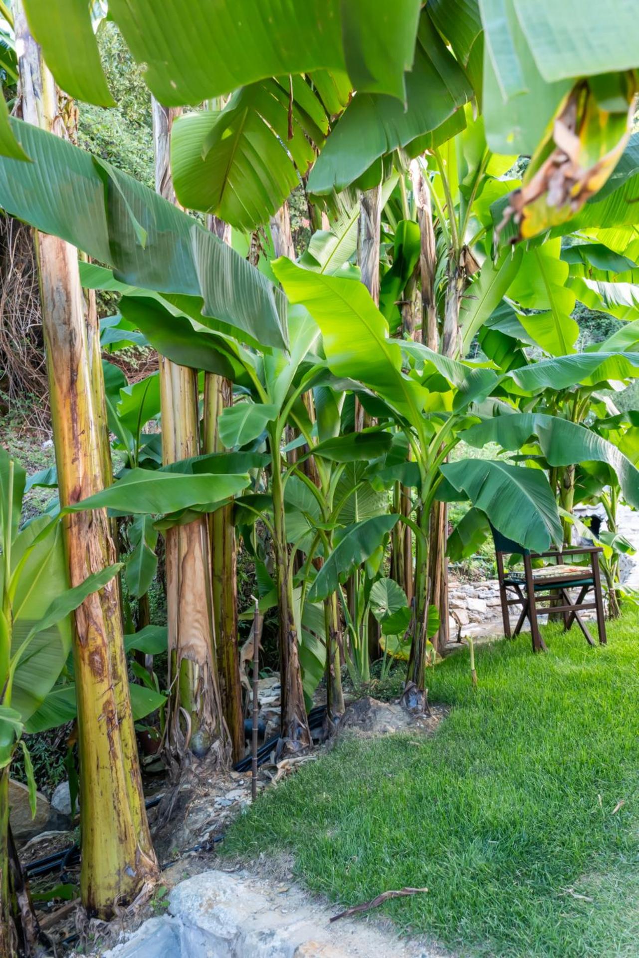 Dimora Moncher - Photo 60