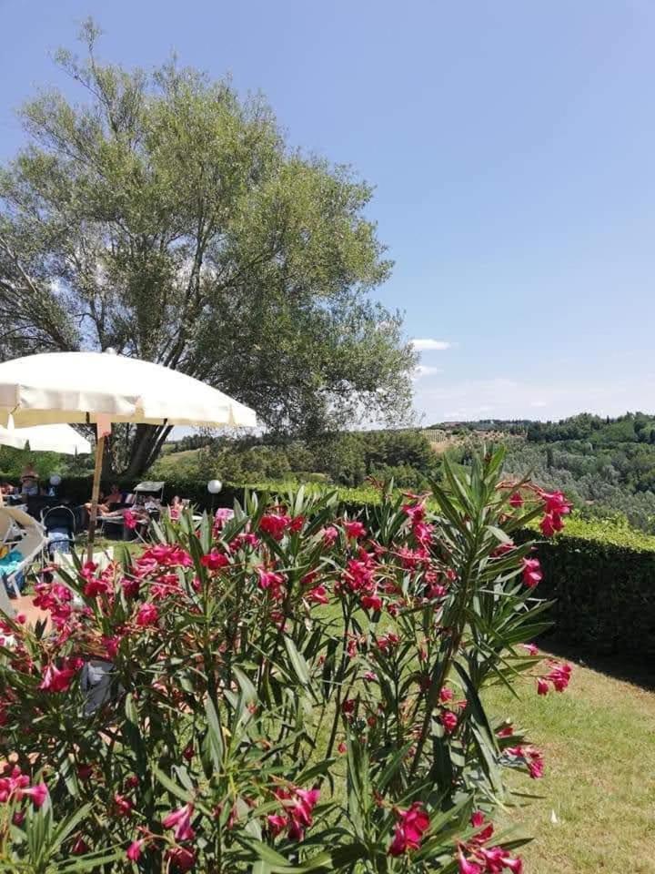 Agriturismo Marrucola - Photo 96