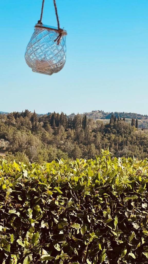 Agriturismo Marrucola - Photo 117