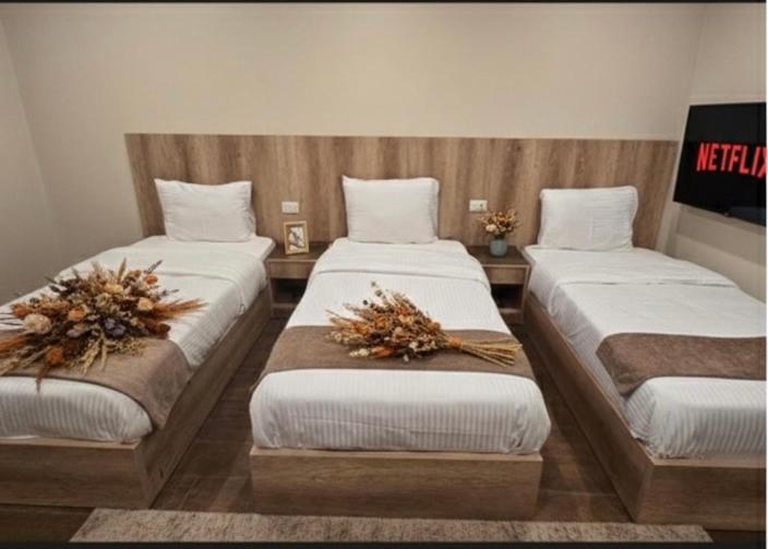 Pyramids A-Heaven Hotel and Rooftop Bedouin Tent - Photo 37