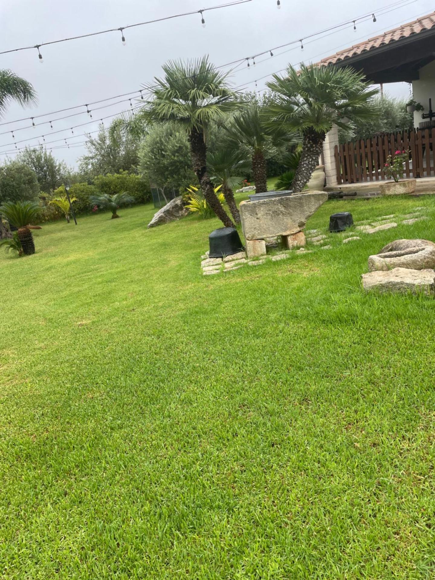 Giardino degli ulivi - Photo 28