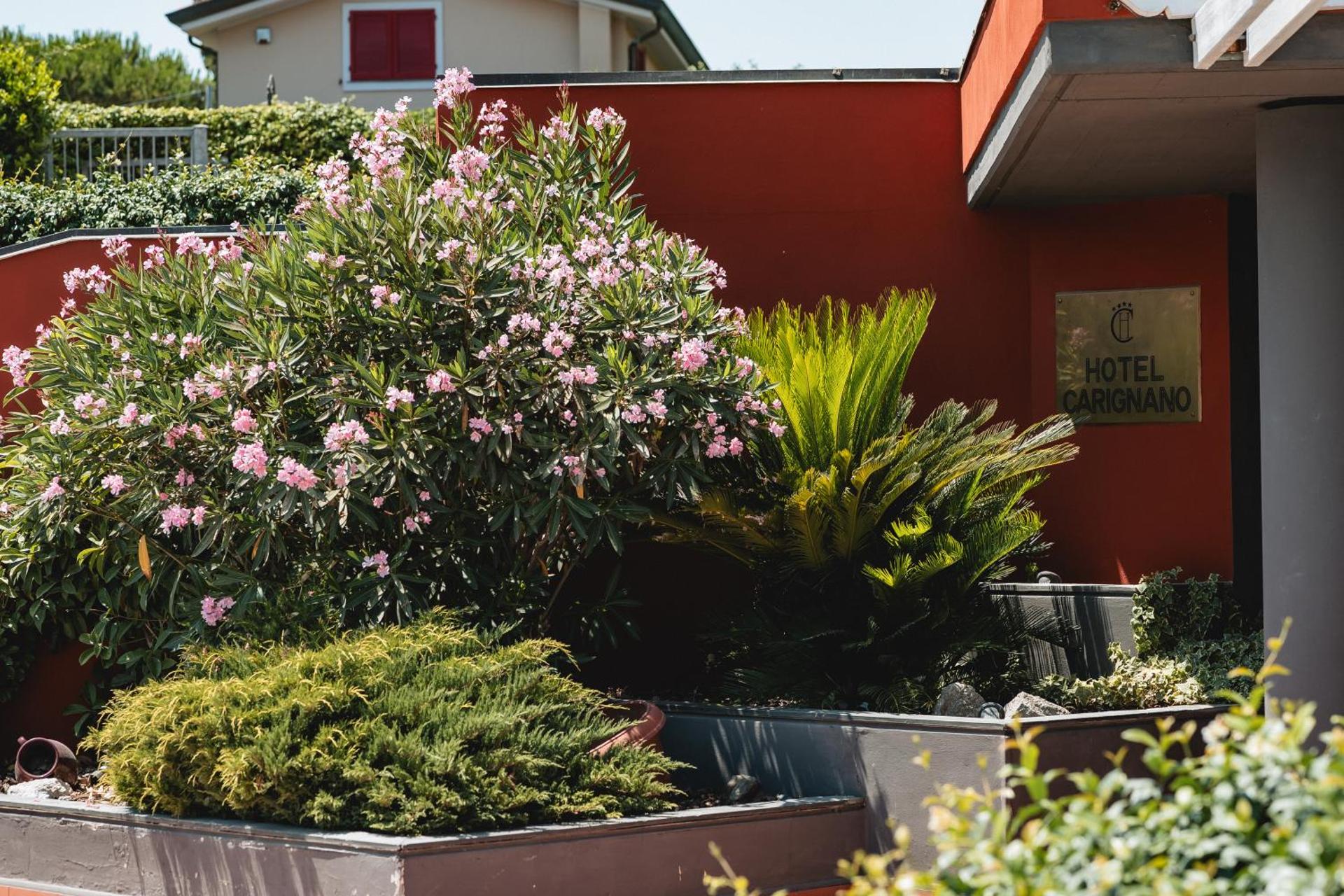 Hotel Carignano - Photo 117