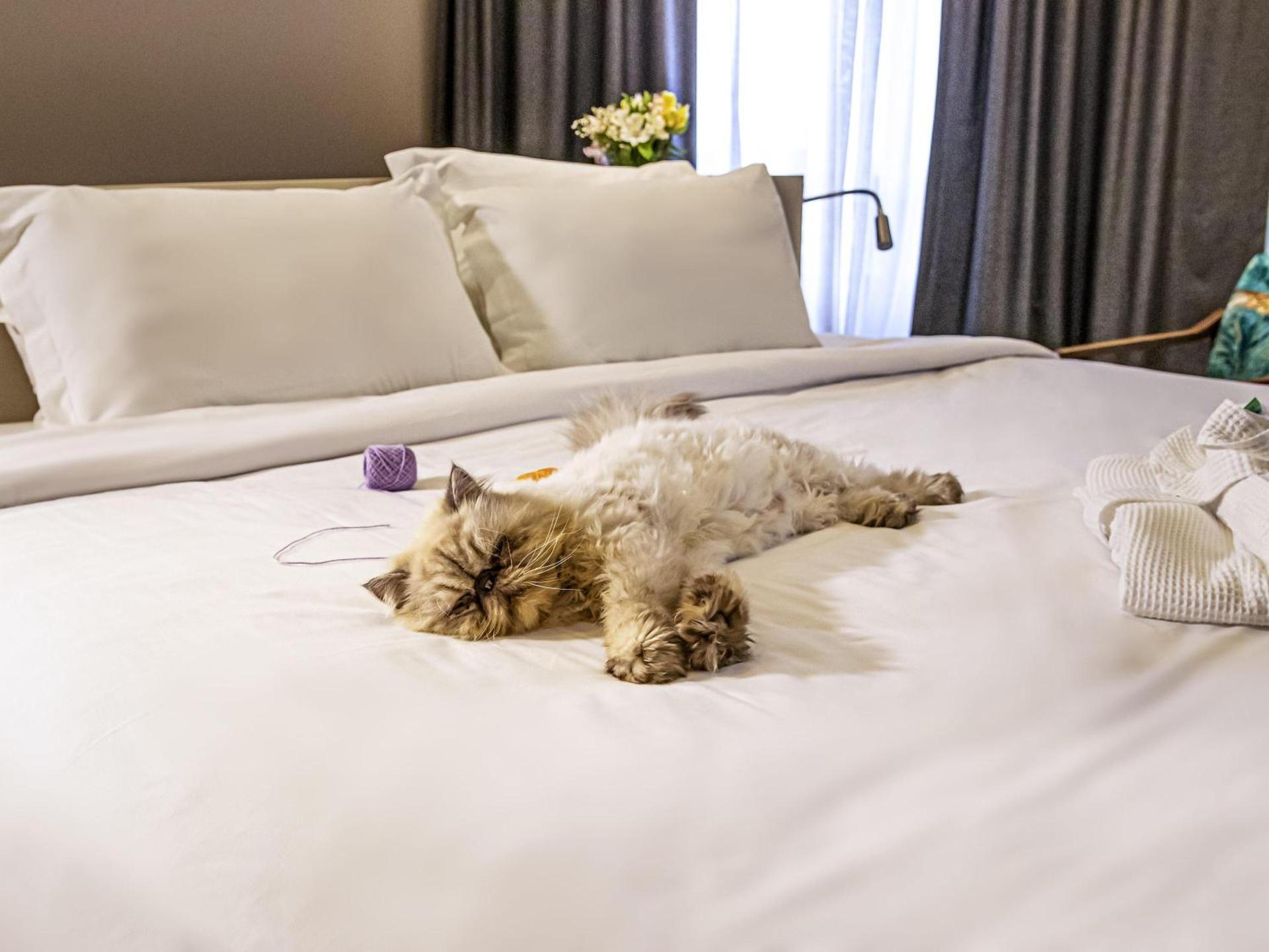 Mercure Florianópolis - Photo 94